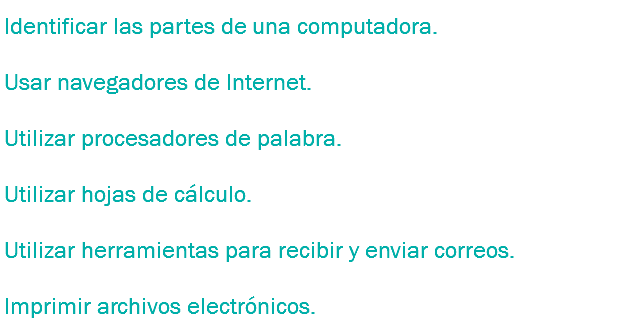 Identificar las partes de una computadora.
Usar navegadores de Internet.
Utilizar procesadores de palabra.
Utilizar hojas de cálculo.
Utilizar herramientas para recibir y enviar correos.
Imprimir archivos electrónicos.