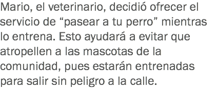 Mario, el veterinario, decidió ofrecer el servicio de “pasear a tu perro” mientras lo entrena. Esto ayudará a evitar que atropellen a las mascotas de la comunidad, pues estarán entrenadas para salir sin peligro a la calle.