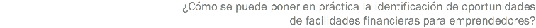¿Cómo se puede poner en práctica la identificación de oportunidades de facilidades financieras para emprendedores?
