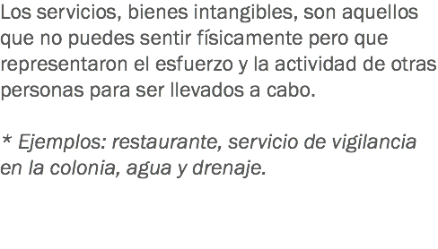 Los servicios, bienes intangibles, son aquellos que no puedes sentir físicamente pero que representaron el esfuerzo y la actividad de otras personas para ser llevados a cabo. * Ejemplos: restaurante, servicio de vigilancia en la colonia, agua y drenaje. 