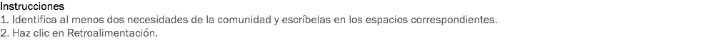 Instrucciones
1. Identifica al menos dos necesidades de la comunidad y escríbelas en los espacios correspondientes.
2. Haz clic en Retroalimentación.