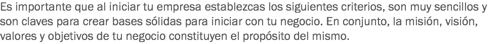 Es importante que al iniciar tu empresa establezcas los siguientes criterios, son muy sencillos y son claves para crear bases sólidas para iniciar con tu negocio. En conjunto, la misión, visión, valores y objetivos de tu negocio constituyen el propósito del mismo.