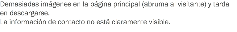 Demasiadas imágenes en la página principal (abruma al visitante) y tarda en descargarse.
La información de contacto no está claramente visible.
