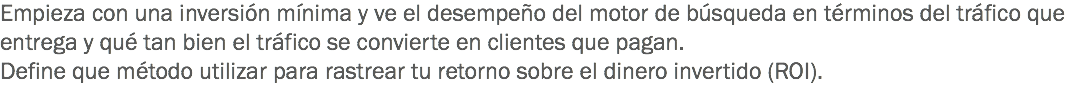 Empieza con una inversión mínima y ve el desempeño del motor de búsqueda en términos del tráfico que entrega y qué tan bien el tráfico se convierte en clientes que pagan. Define que método utilizar para rastrear tu retorno sobre el dinero invertido (ROI). 