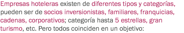 Empresas hoteleras existen de diferentes tipos y categorías, pueden ser de socios inversionistas, familiares, franquicias, cadenas, corporativos; categoría hasta 5 estrellas, gran turismo, etc. Pero todos coinciden en un objetivo: 