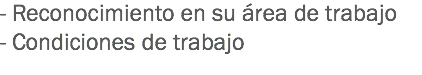 - Reconocimiento en su área de trabajo
- Condiciones de trabajo
